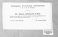 Image Associated With the Occurence